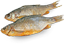 рыба сушеная